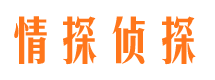 琼海寻人公司